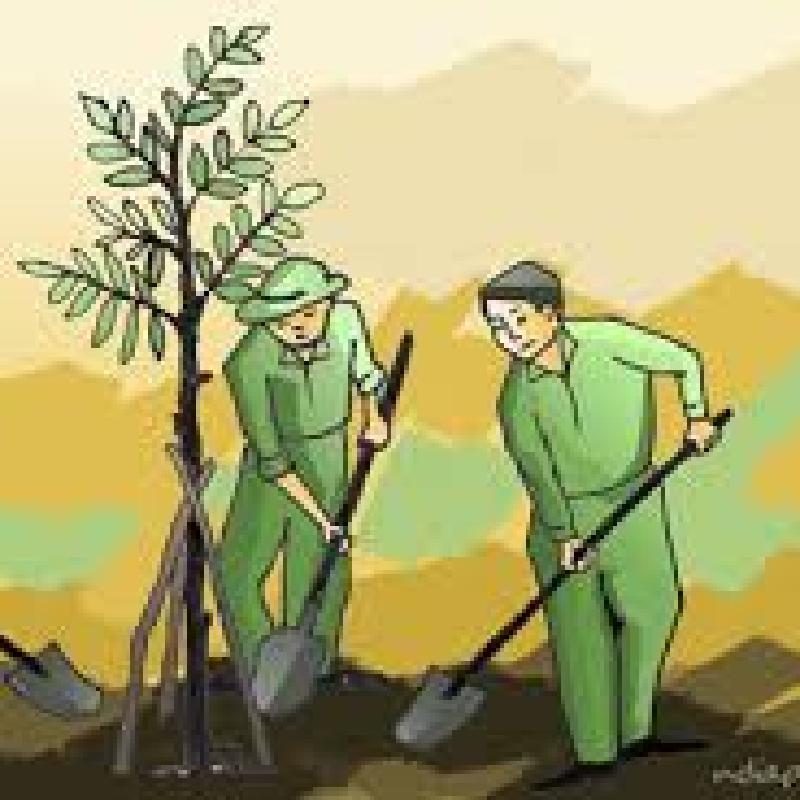 B&agrave;i ph&aacute;t biểu Lễ ph&aacute;t động tết trồng c&acirc;y xu&acirc;n B&iacute;nh Ngọ 2026 (miễn ph&iacute;)